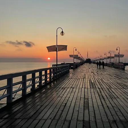 Oliwa Oliwki I Wino *