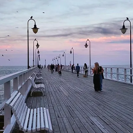 Oliwa Oliwki I Wino *