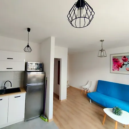 Oliwa Oliwki I Wino グダニスク