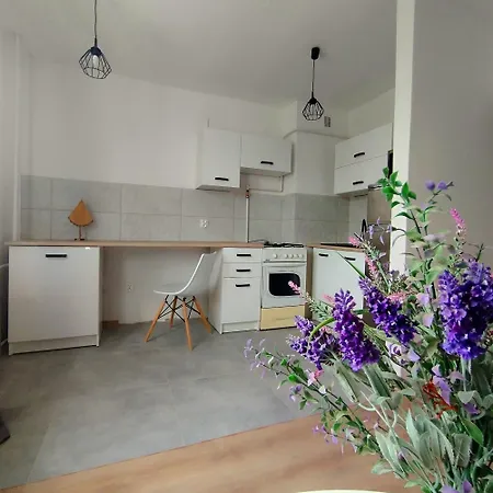 Oliwa Oliwki I Wino Διαμέρισμα