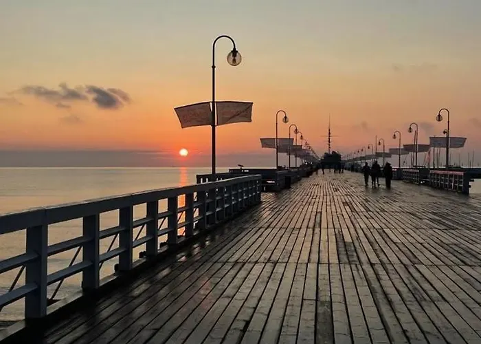 Oliwa Oliwki I Wino *