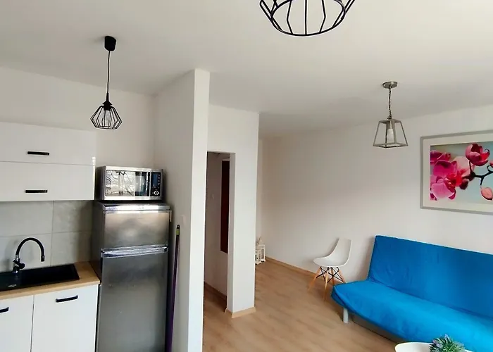 Oliwa Oliwki I Wino גדנסק