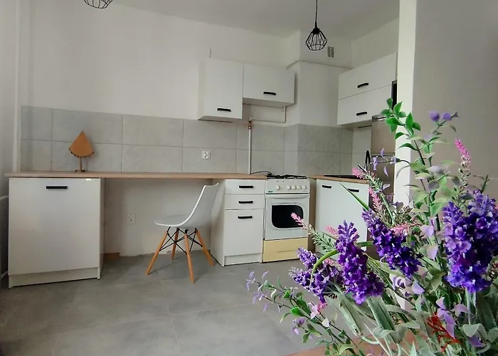 Oliwa Oliwki I Wino דירה