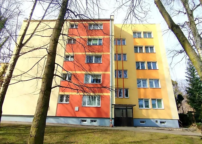 Oliwa Oliwki I Wino דירה *